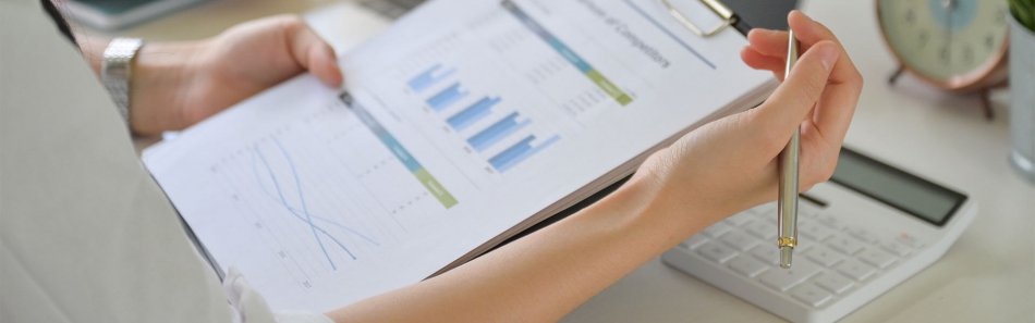 INFORME DE AVANCES PROGRAMÁTICOS O PRESUPUESTALES